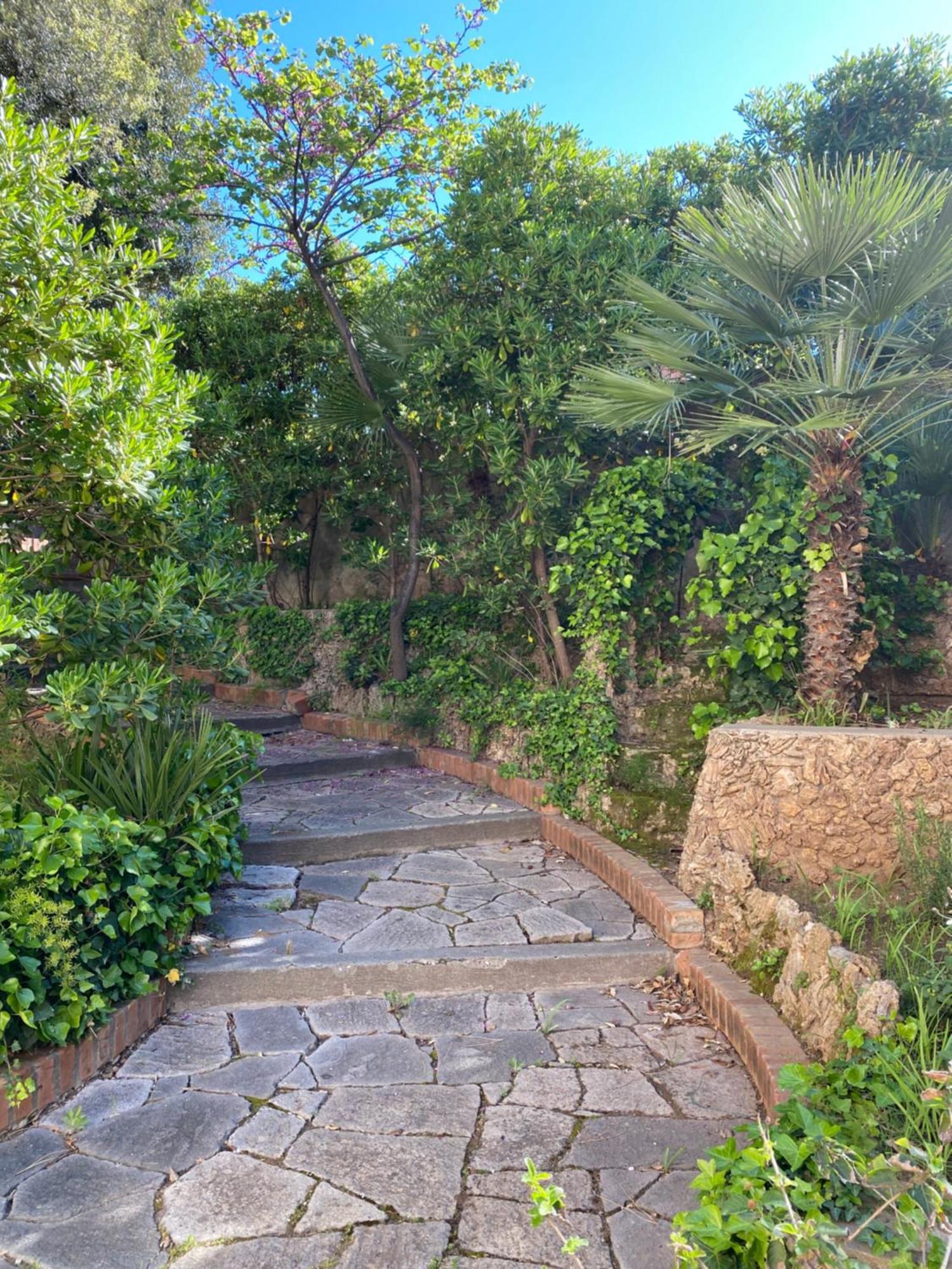 Villa Il Boschetto San Vincenzo Exteriör bild