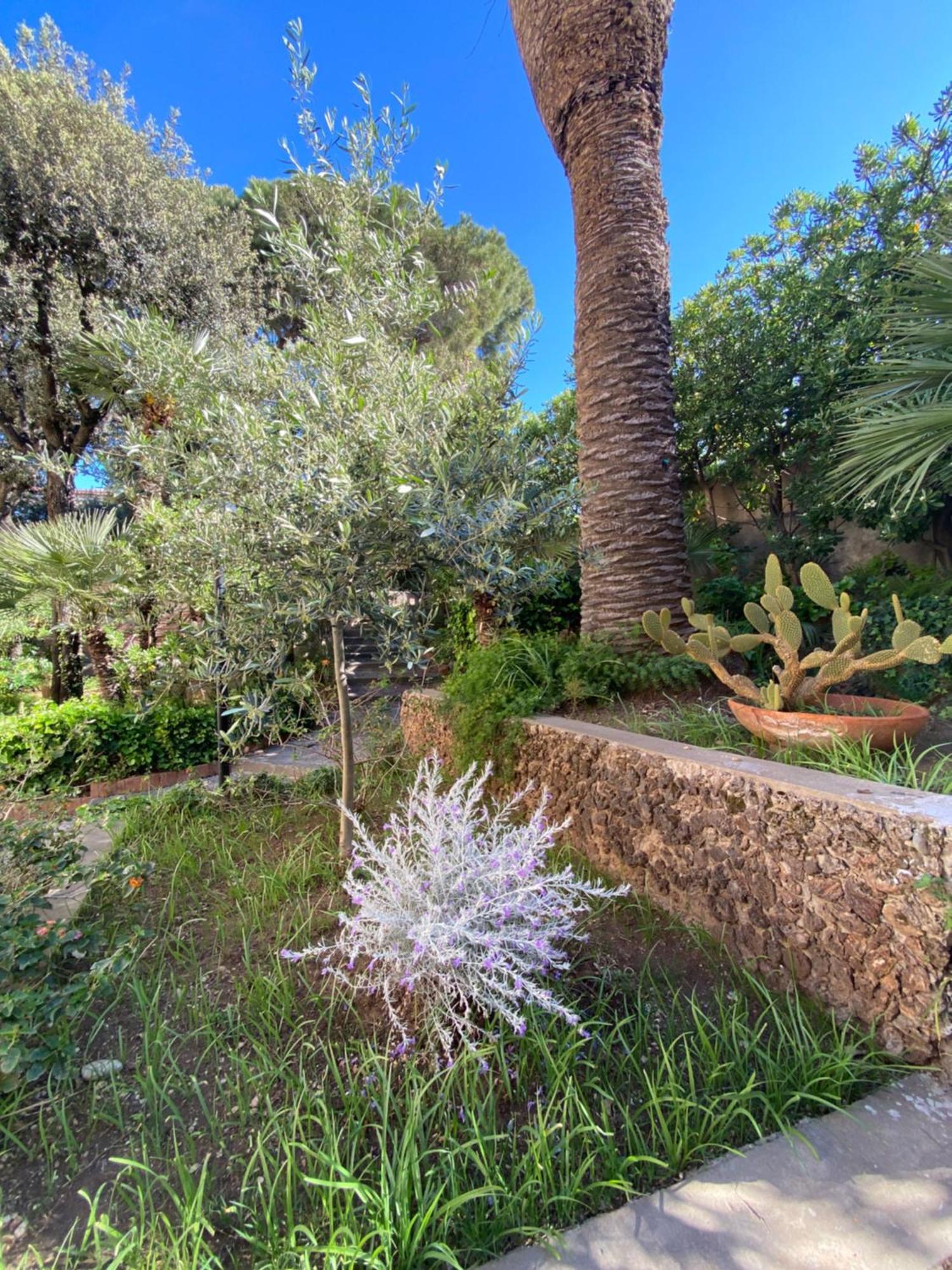 Villa Il Boschetto San Vincenzo Exteriör bild